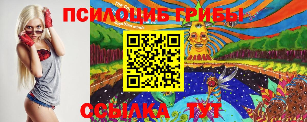 Галлюциногенные грибы MAGIC MUSHROOMS  Галлюциногенные грибы Cubensis  Сергиев Посад  Вход с VPN 