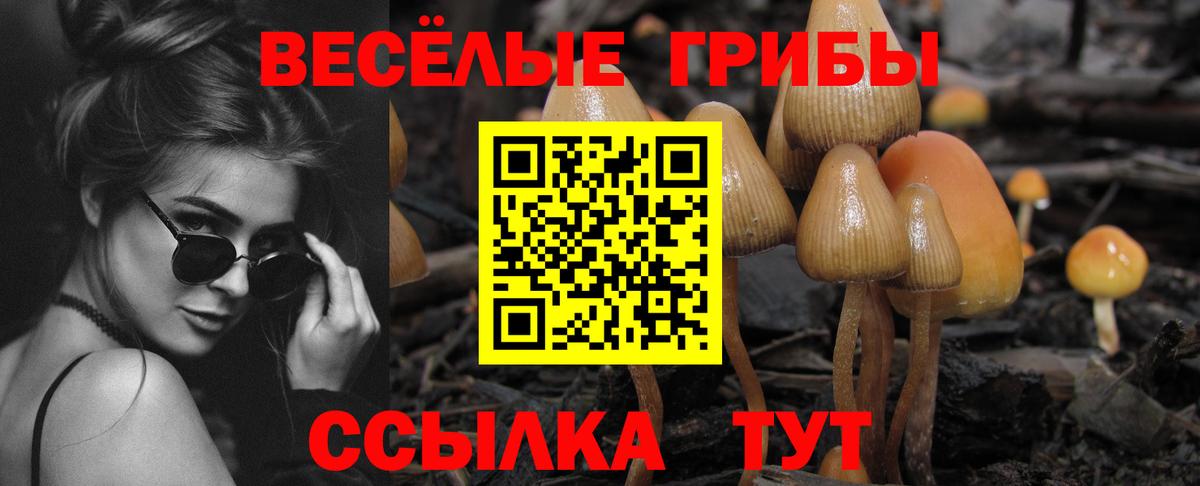 Псилоцибиновые грибы прущие грибы Сергиев Посад